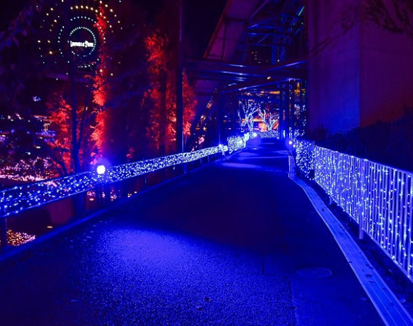 大阪聖誕2025|枚方公園「光之遊樂園」聖誕必去!巨型聖誕樹+燈籠廣場+浪漫夢幻花海