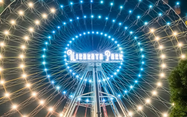 大阪聖誕2025|枚方公園「光之遊樂園」聖誕必去!巨型聖誕樹+燈籠廣場+浪漫夢幻花海