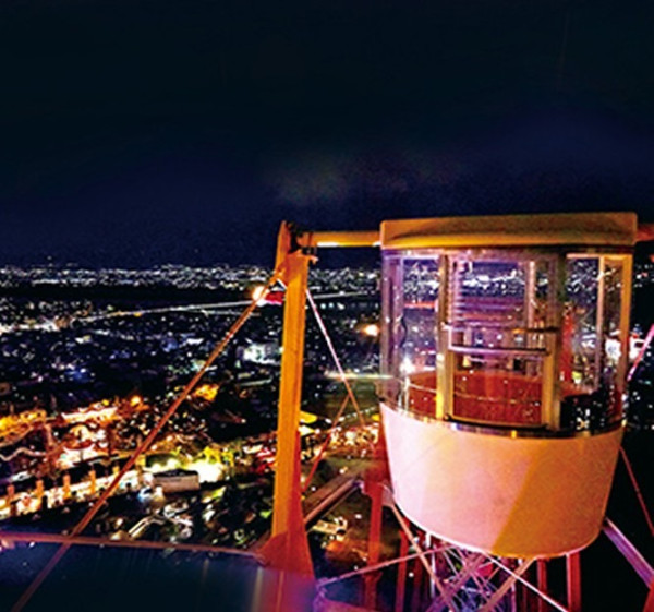 大阪聖誕2025|枚方公園「光之遊樂園」聖誕必去!巨型聖誕樹+燈籠廣場+浪漫夢幻花海