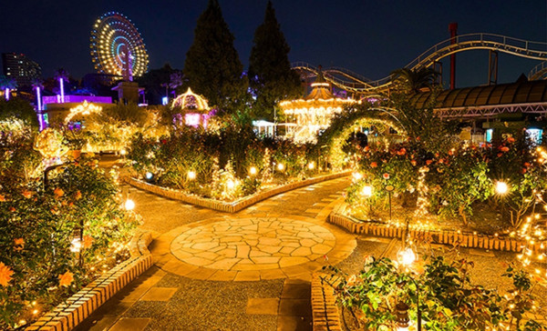 大阪聖誕2025|枚方公園「光之遊樂園」聖誕必去!巨型聖誕樹+燈籠廣場+浪漫夢幻花海