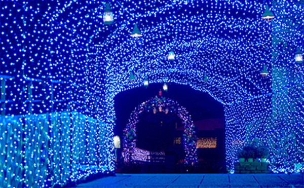 大阪聖誕2025|枚方公園「光之遊樂園」聖誕必去!巨型聖誕樹+燈籠廣場+浪漫夢幻花海