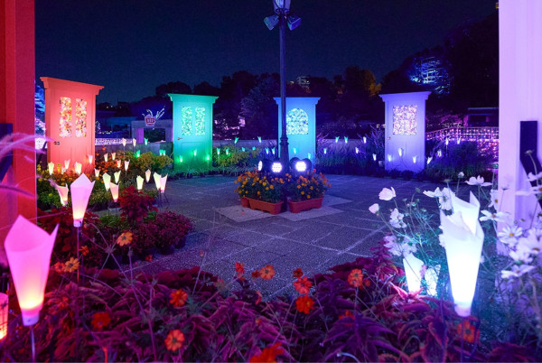 大阪聖誕2025|枚方公園「光之遊樂園」聖誕必去!巨型聖誕樹+燈籠廣場+浪漫夢幻花海