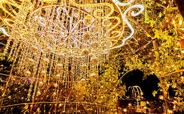 大阪聖誕2025|枚方公園「光之遊樂園」聖誕必去!巨型聖誕樹+燈籠廣場+浪漫夢幻花海