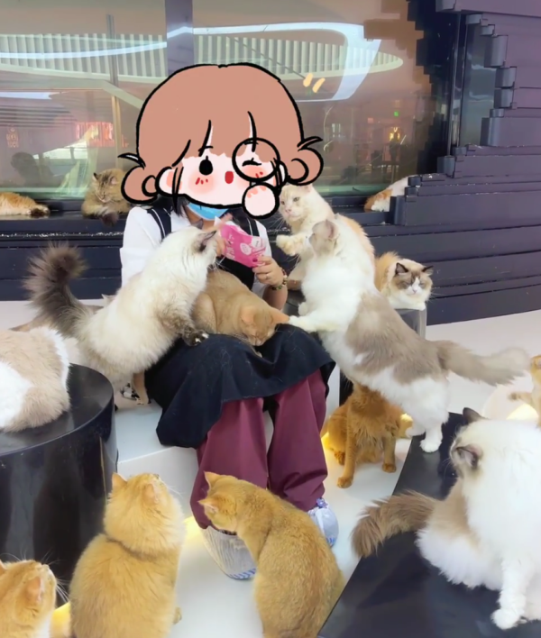 照片來源：小紅書