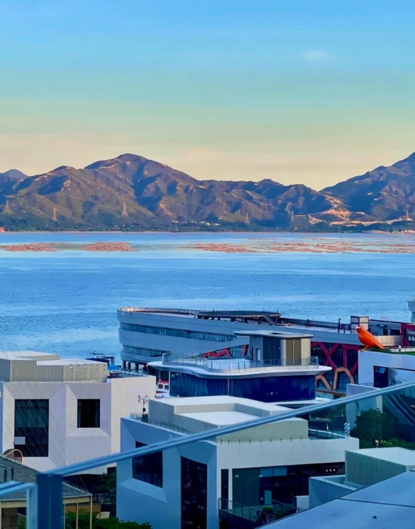 照片來源：小紅書