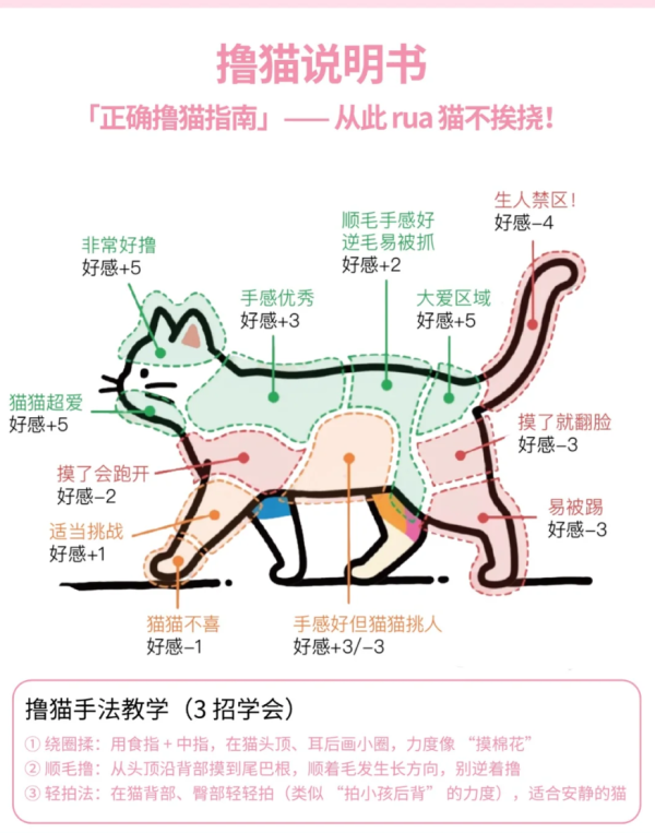 照片來源：小紅書