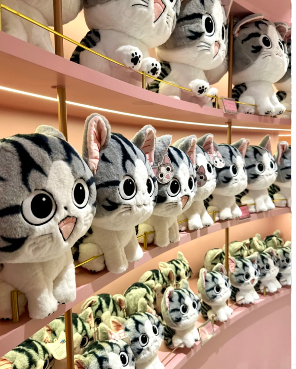 照片來源：小紅書