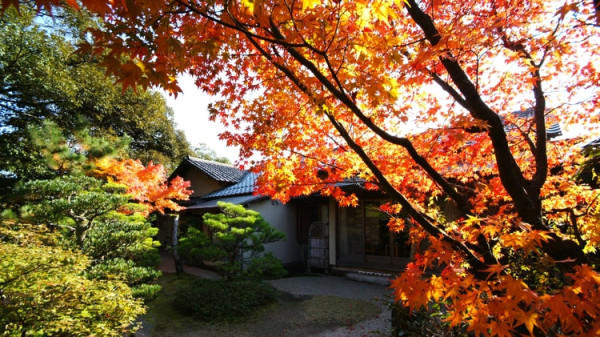 文珠莊松露亭（圖片：Rakuten Travel）