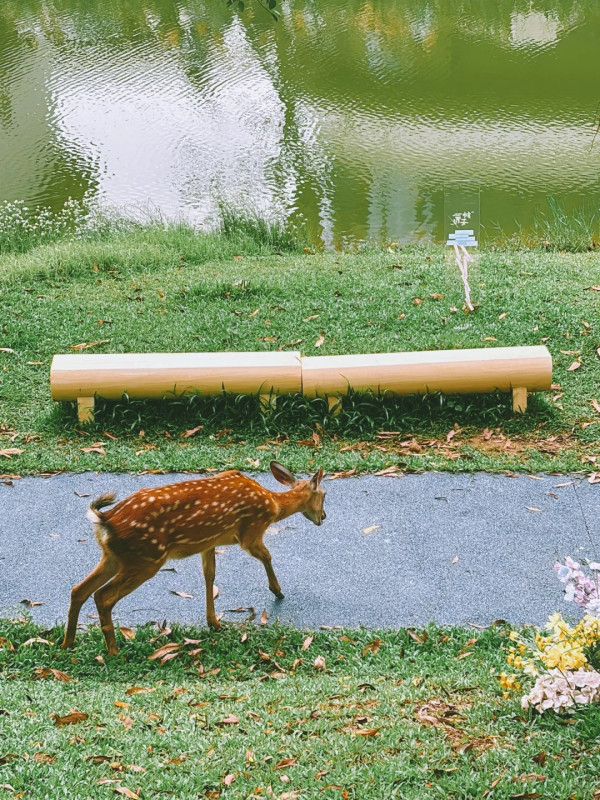 龍崗大運天地。圖片來源:小紅書@哇啦哇啦 龍崗大運天地。圖片來源:小紅書@哇啦哇啦