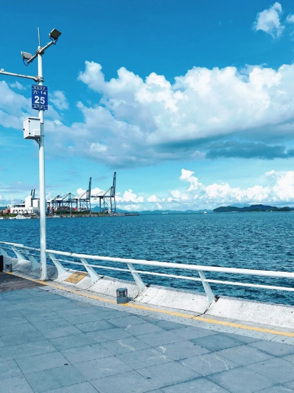 桔釣沙。圖片來源:小紅書@每天好睏 桔釣沙。圖片來源:小紅書@每天好睏