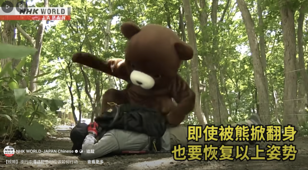 日本單月64宗熊襲擊今年9人喪命  NHK出片教「熊出沒」自保 究竟應唔應該扮死？