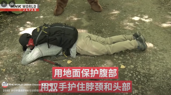 日本單月64宗熊襲擊今年9人喪命  NHK出片教「熊出沒」自保 究竟應唔應該扮死？