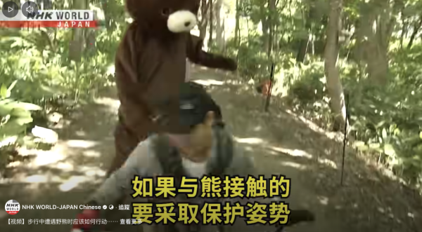 日本單月64宗熊襲擊今年9人喪命  NHK出片教「熊出沒」自保 究竟應唔應該扮死？