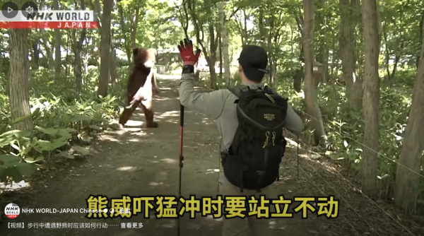 日本單月64宗熊襲擊今年9人喪命  NHK出片教「熊出沒」自保 究竟應唔應該扮死？