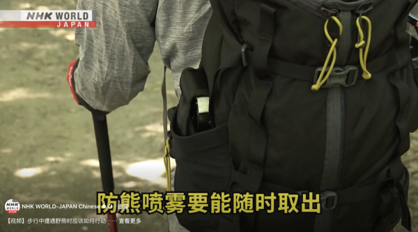 日本單月64宗熊襲擊今年9人喪命  NHK出片教「熊出沒」自保 究竟應唔應該扮死？