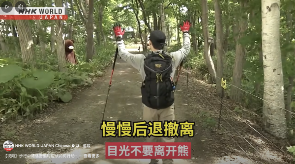 日本單月64宗熊襲擊今年9人喪命  NHK出片教「熊出沒」自保 究竟應唔應該扮死？