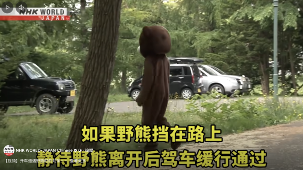 日本單月64宗熊襲擊今年9人喪命  NHK出片教「熊出沒」自保 究竟應唔應該扮死？
