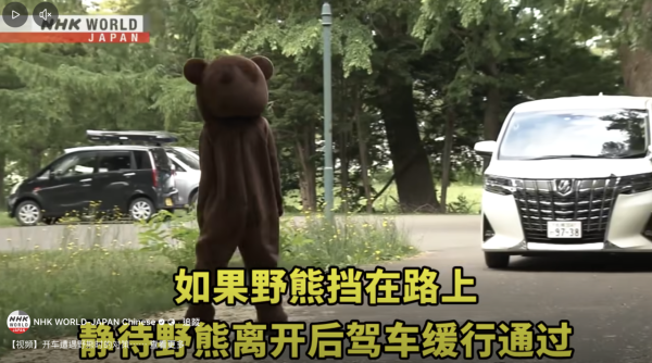 日本單月64宗熊襲擊今年9人喪命  NHK出片教「熊出沒」自保 究竟應唔應該扮死？