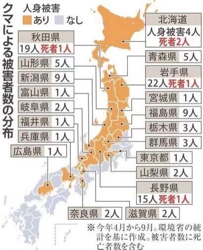日本單月64宗熊襲擊今年9人喪命  NHK出片教「熊出沒」自保 究竟應唔應該扮死？