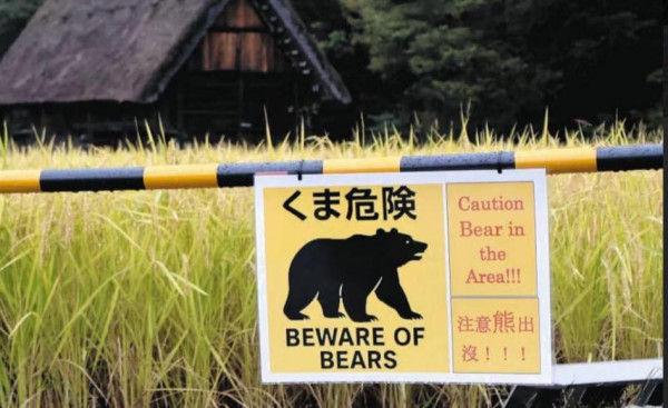 車cam直擊｜Tesla倒車竟變狂磨垃圾桶 司機要落車咁處理 網民熱議：個牌買番嚟架