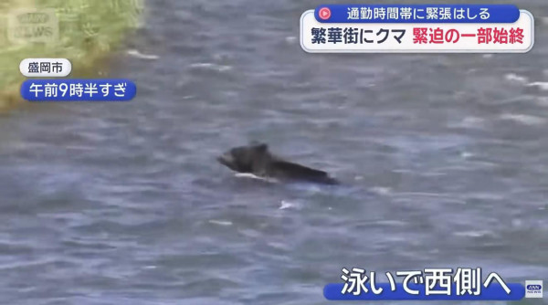 車cam直擊｜Tesla倒車竟變狂磨垃圾桶 司機要落車咁處理 網民熱議：個牌買番嚟架