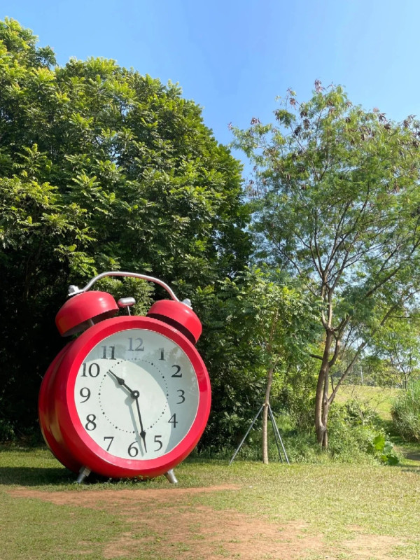 虹橋公園。圖片來源︰小紅書@阳光打卡者~妍宝 虹橋公園。圖片來源︰小紅書@阳光打卡者~妍宝