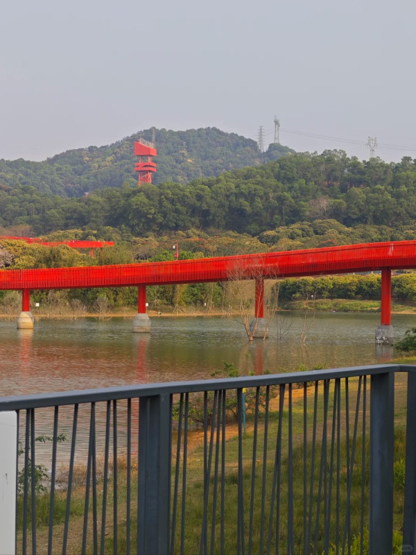虹橋公園。圖片來源︰小紅書@阳光打卡者~妍宝 虹橋公園。圖片來源︰小紅書@阳光打卡者~妍宝