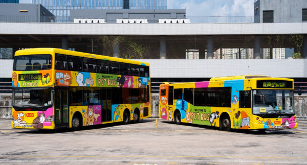 年長寵物免費乘坐九巴寵物巴士！每月指定日子適用 即睇登記方法