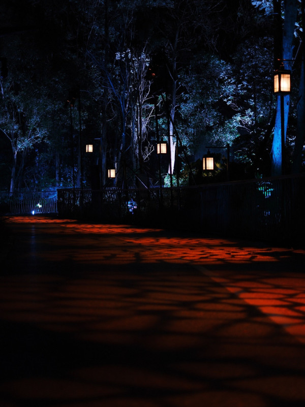 《女神配對》CP蜜遊深圳放閃 大曬雪地自拍照勁sweet 