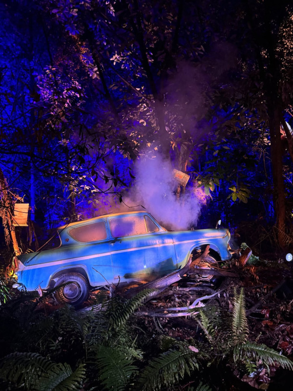 《女神配對》CP蜜遊深圳放閃 大曬雪地自拍照勁sweet 