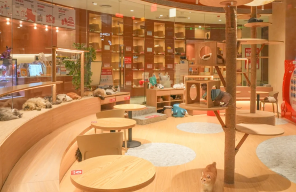 照片來源:小紅書 照片來源:小紅書