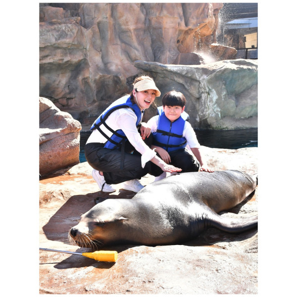 43歲女藝人驚爆遇交通意外頸椎移位 獨自入院後需戴頸箍開工惹擔憂