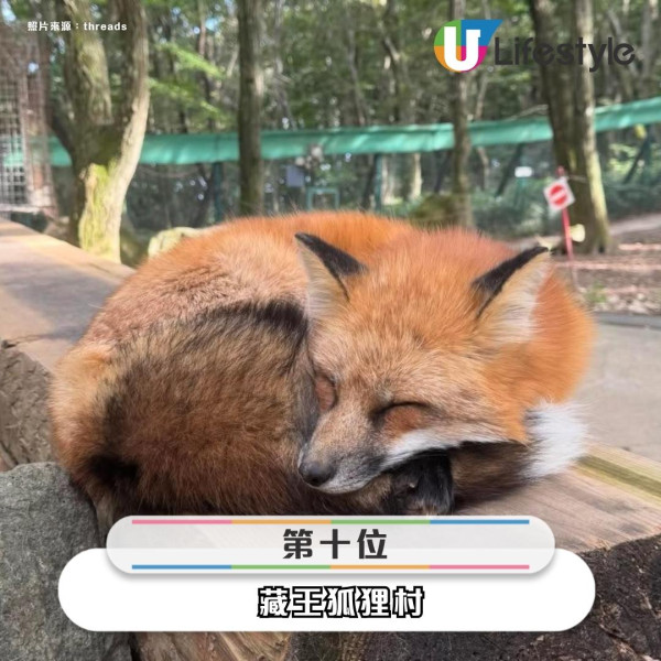 Threads網友票選十大日本失望景點! 大阪通天閣、東京鐵塔都有份?