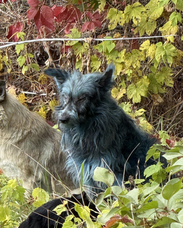 photo from Clean Futures Fund Instagram post photo from Clean Futures Fund Instagram post