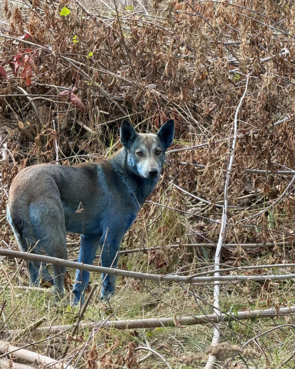 photo from Clean Futures Fund Instagram post photo from Clean Futures Fund Instagram post