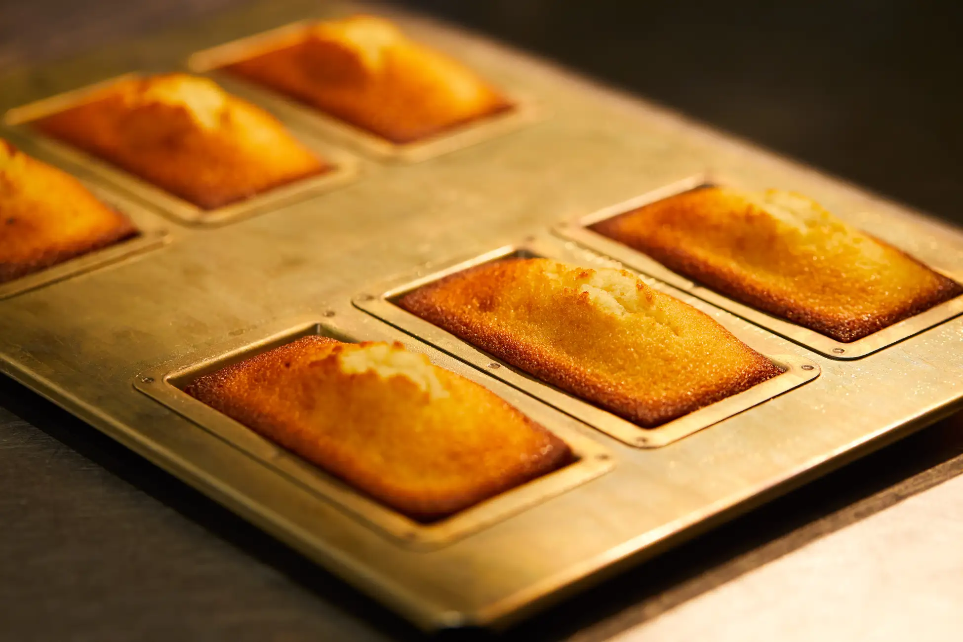 丸之內街道公園2025冬季。圖片來源：PR Times