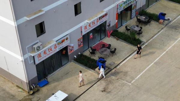 識XX反而更危險？應徵木工被騙往柬埔寨園區 3人因不懂這技能被當「廢物」退貨