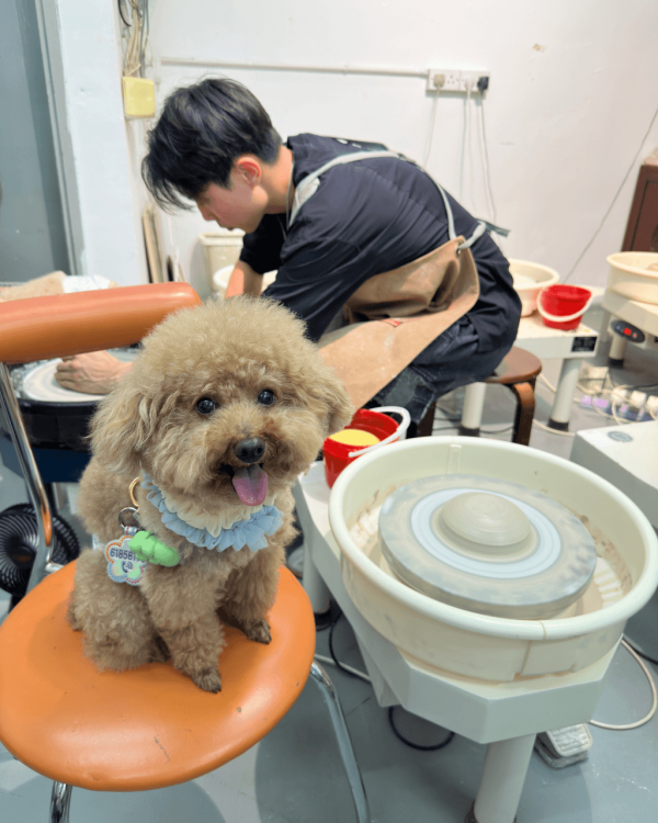 親子好去處|全港9大親子必去工作坊 地毯槍/陶藝/盆景DIY/農莊體驗