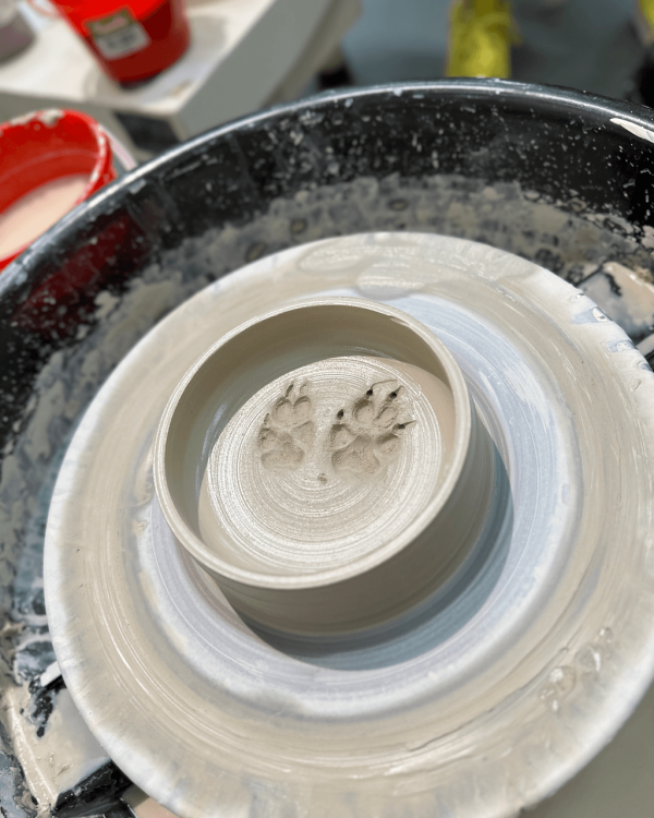 親子好去處|全港9大親子必去工作坊 地毯槍/陶藝/盆景DIY/農莊體驗