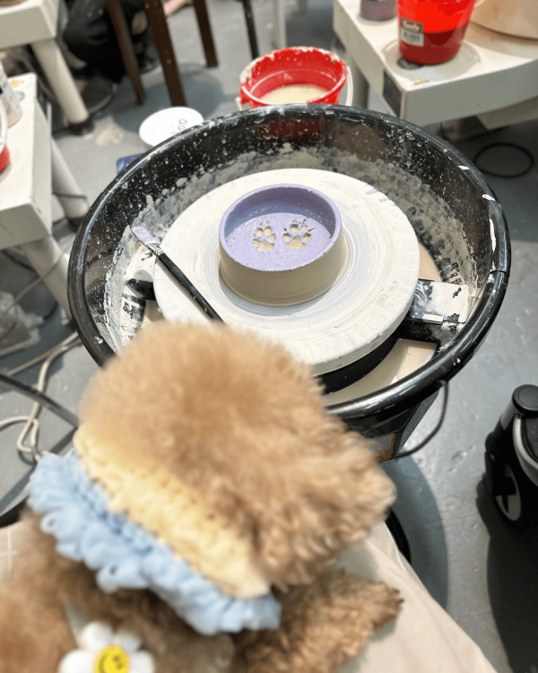 親子好去處|全港9大親子必去工作坊 地毯槍/陶藝/盆景DIY/農莊體驗