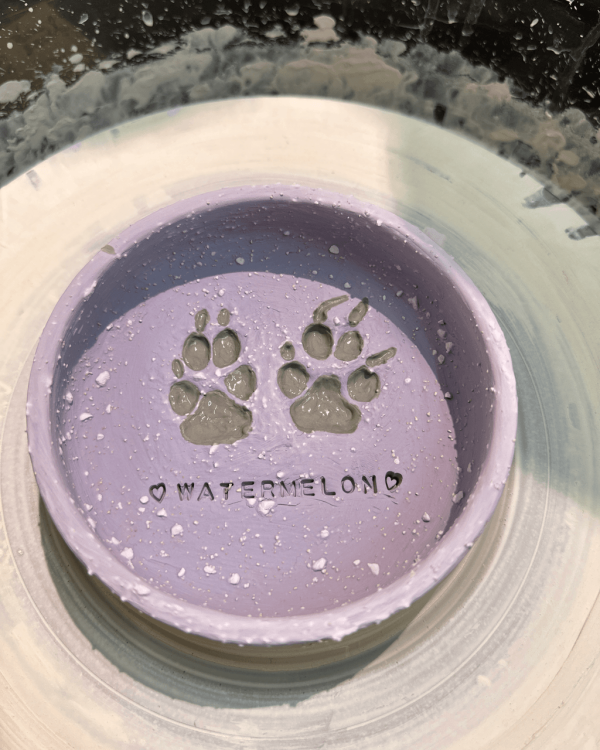 親子好去處|全港9大親子必去工作坊 地毯槍/陶藝/盆景DIY/農莊體驗