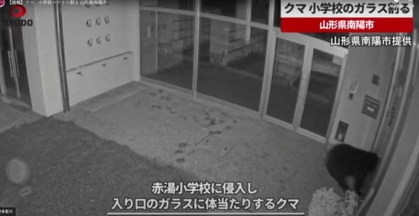 照片來源：共同通信