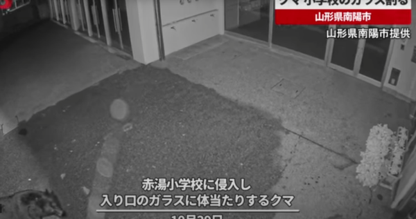 照片來源：共同通信