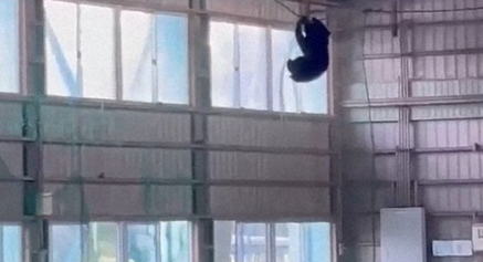 照片來源：@livedoornews