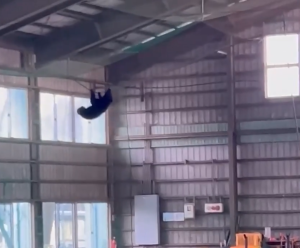 照片來源：@livedoornews