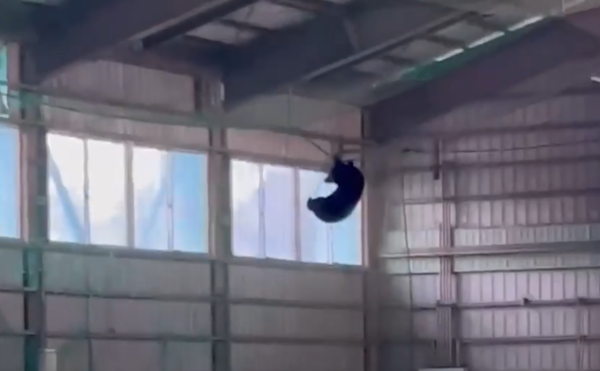 照片來源：@livedoornews