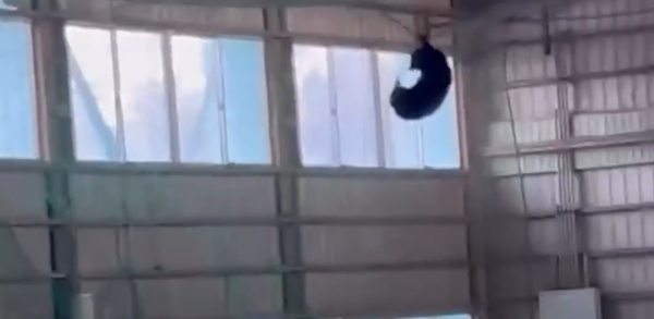 照片來源：@livedoornews