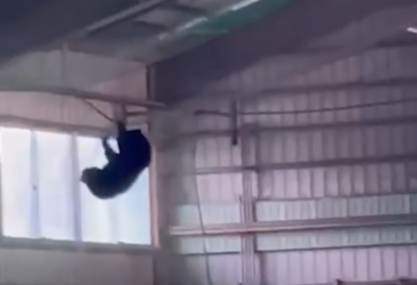 照片來源：@livedoornews