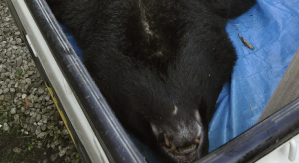 照片來源：路透社