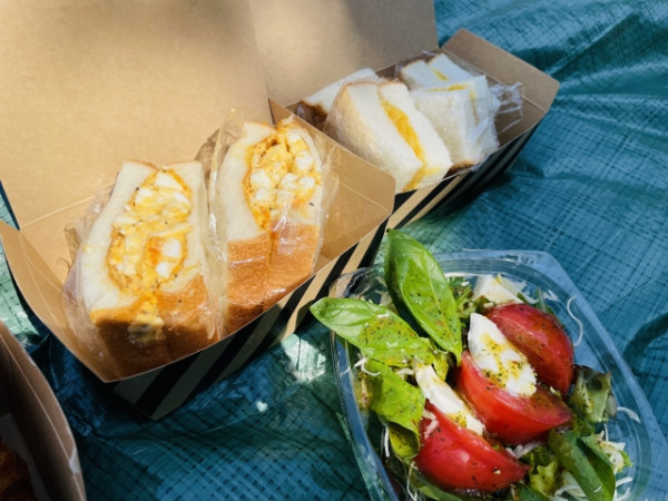 2025野餐攻略|10大戶外裝備實用清單:唔止帳篷/食物 打卡最緊要呢幾樣?